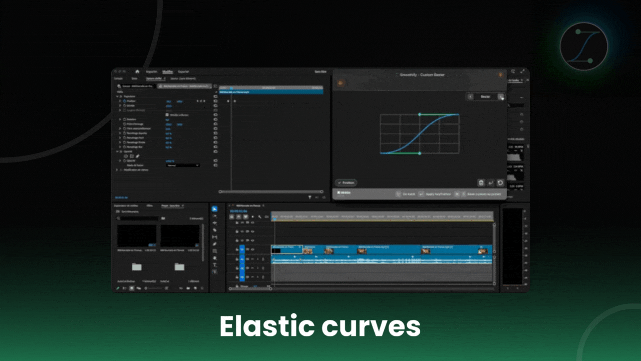 Elastic Curves