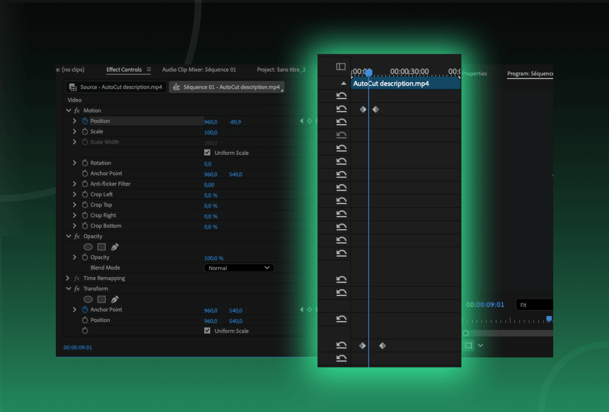 Create keyframes inside Premiere Pro before using Smoothify for blinkl.io